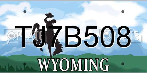 TJ7B508 Wyoming License Plate