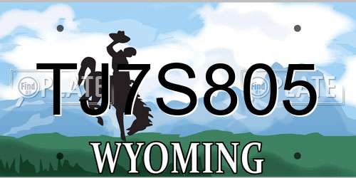 TJ7S805 Wyoming License Plate