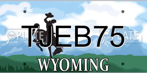 TJEB75 Wyoming License Plate