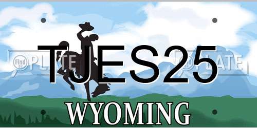 TJES25 Wyoming License Plate