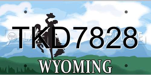 TKD7828 Wyoming License Plate