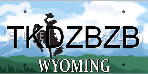 TKDZBZB Wyoming License Plate