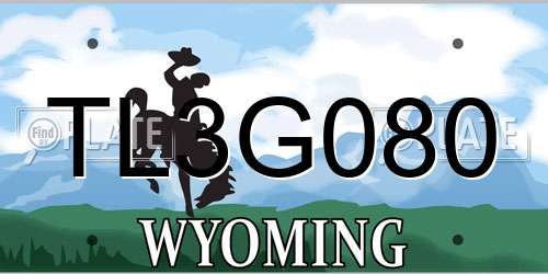 TL3G080 Wyoming License Plate