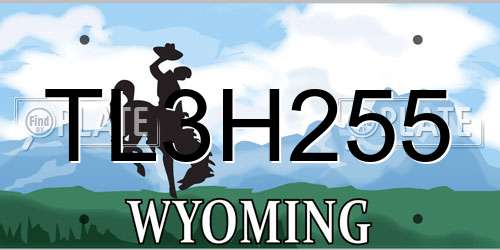 TL3H255 Wyoming License Plate
