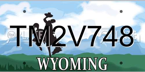 TM2V748 Wyoming License Plate