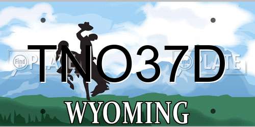 TNO37D Wyoming License Plate