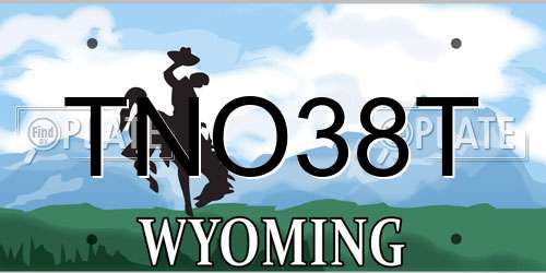 TNO38T Wyoming License Plate