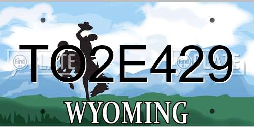 TO2E429 Wyoming License Plate