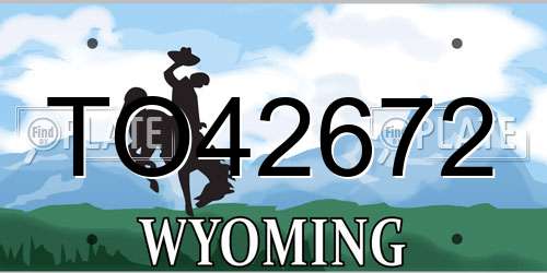 TO42672 Wyoming License Plate