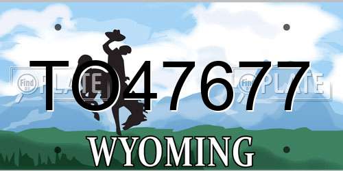 TO47677 Wyoming License Plate