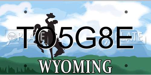 TO5G8E Wyoming License Plate