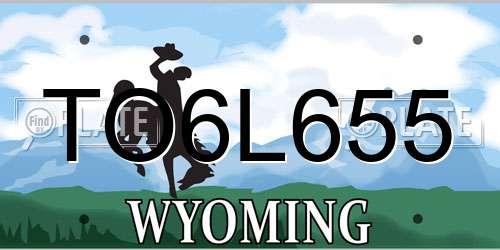 TO6L655 Wyoming License Plate