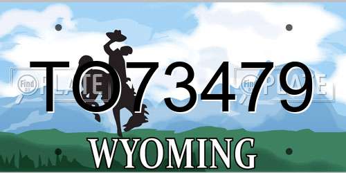 TO73479 Wyoming License Plate