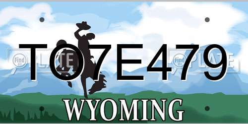 TO7E479 Wyoming License Plate