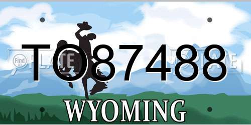 TO87488 Wyoming License Plate
