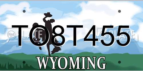 TO8T455 Wyoming License Plate