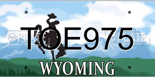 TOE975 Wyoming License Plate