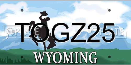 TOGZ25 Wyoming License Plate