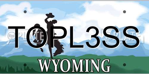 TOPL3SS Wyoming License Plate