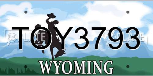 TOY3793 Wyoming License Plate