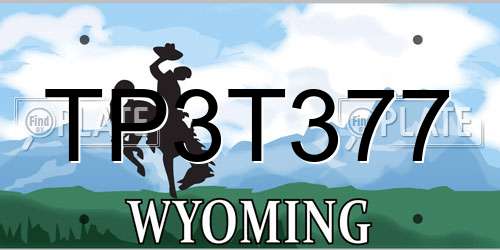TP3T377 Wyoming License Plate