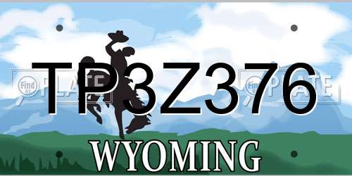 TP3Z376 Wyoming License Plate