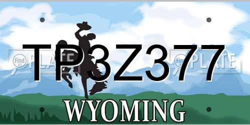 TP3Z377 Wyoming License Plate