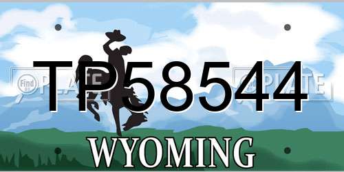 TP58544 Wyoming License Plate