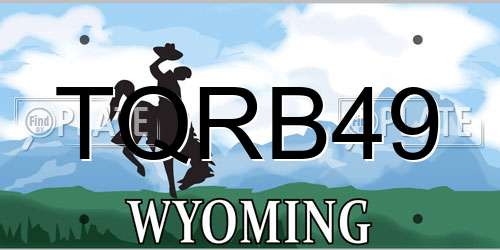 TQRB49 Wyoming License Plate