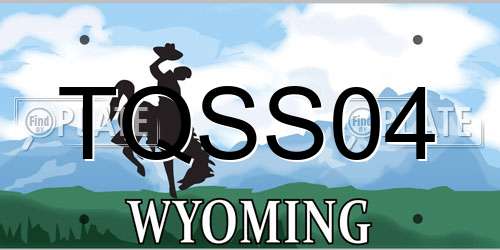 TQSS04 Wyoming License Plate