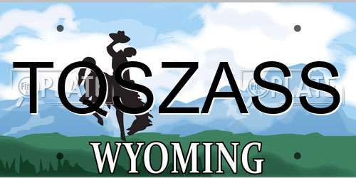 TQSZASS Wyoming License Plate