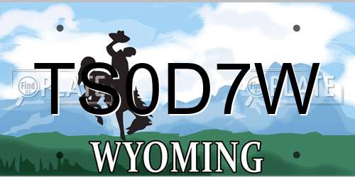 TS0D7W Wyoming License Plate