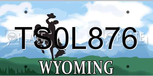 TS0L876 Wyoming License Plate