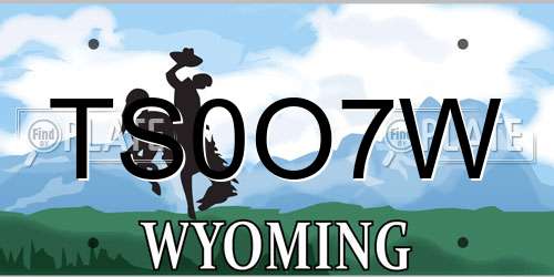 TS0O7W Wyoming License Plate