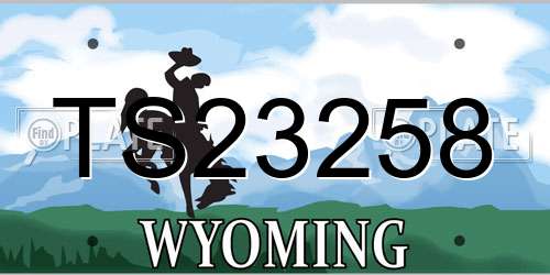 TS23258 Wyoming License Plate