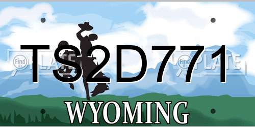 TS2D771 Wyoming License Plate