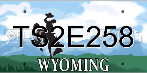 TS2E258 Wyoming License Plate