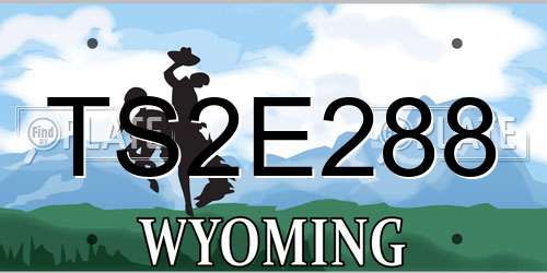 TS2E288 Wyoming License Plate