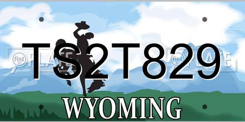 TS2T829 Wyoming License Plate
