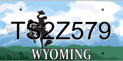 TS2Z579 Wyoming License Plate