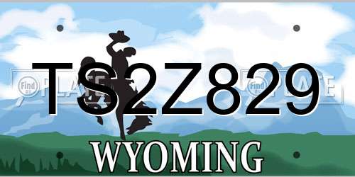 TS2Z829 Wyoming License Plate