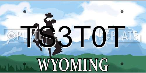 TS3T0T Wyoming License Plate