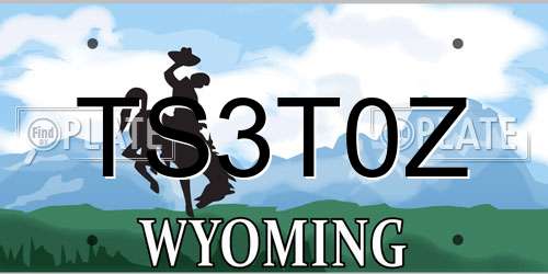 TS3T0Z Wyoming License Plate
