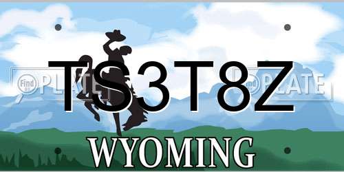 TS3T8Z Wyoming License Plate