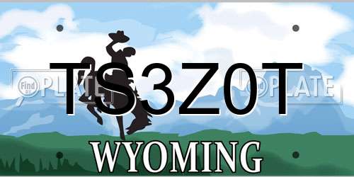 TS3Z0T Wyoming License Plate