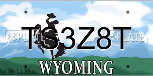TS3Z8T Wyoming License Plate