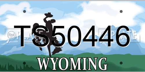 TS50446 Wyoming License Plate