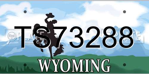 TS73288 Wyoming License Plate