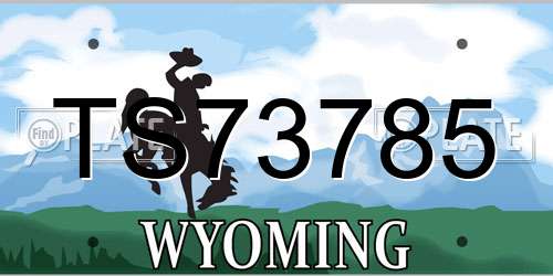 TS73785 Wyoming License Plate