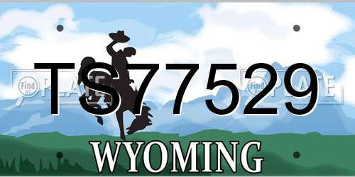 TS77529 Wyoming License Plate